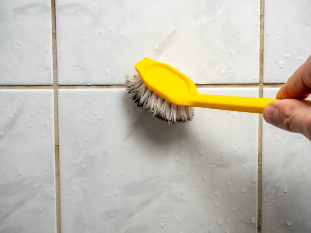 Mold Removal Process in Marshall, IL
