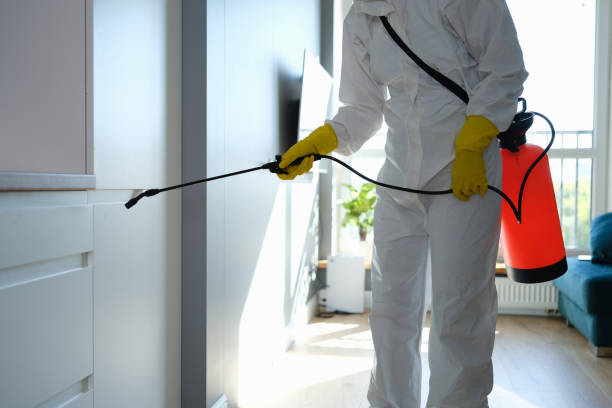 Best Same-Day Mold Removal  in Marshall, IL